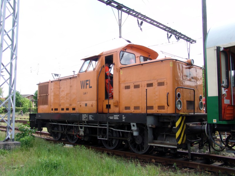 WFL  1 - LEW 15369.jpg